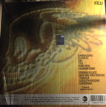 Carica l'immagine nel visualizzatore di Gallery, Litfiba : Pirata (LP, Ltd, Num, 180)