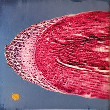 Carica l'immagine nel visualizzatore di Gallery, Co-Pilot (3) : Green Machine (LP, Album)