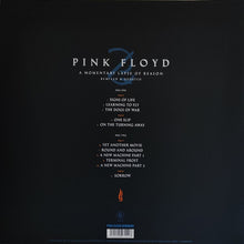 Carica l'immagine nel visualizzatore di Gallery, Pink Floyd : A Momentary Lapse Of Reason (Remixed & Updated) (2xLP, Album, RE, 180)