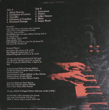 Carica l'immagine nel visualizzatore di Gallery, Terraced Garden : Braille (LP, Album)