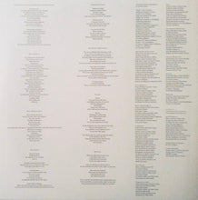 Carica l'immagine nel visualizzatore di Gallery, Damon Albarn : The Nearer The Fountain, More Pure The Stream Flows (LP, Album)