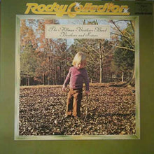 Carica l'immagine nel visualizzatore di Gallery, The Allman Brothers Band : Brothers And Sisters (LP, Album, RE)