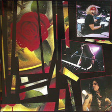 Carica l'immagine nel visualizzatore di Gallery, Guns N' Roses : Use Your Illusion I & II World Tour - 1992 In Tokyo (2xLaserdisc, 12", NTSC)