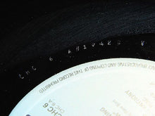 Carica l'immagine nel visualizzatore di Gallery, Rare Bird : Sympathy (LP, Comp, RE)