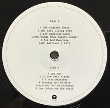 Carica l'immagine nel visualizzatore di Gallery, PJ Harvey : Let England Shake (LP, Album, RE, 180)