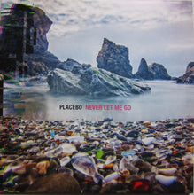 Carica l'immagine nel visualizzatore di Gallery, Placebo : Never Let Me Go (2xLP, Album)