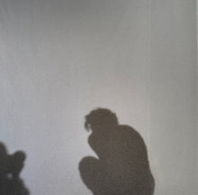 Carica l'immagine nel visualizzatore di Gallery, Harry Styles : Harry’s House (LP, Album)