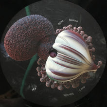 Carica l'immagine nel visualizzatore di Gallery, Björk : Fossora (2xLP, Album, Gat)