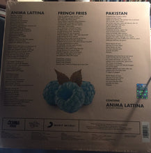 Carica l'immagine nel visualizzatore di Gallery, Coma Cose : Inverno Ticinese (12", EP, RP, Pin)