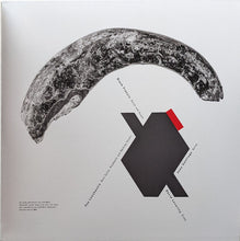 Carica l'immagine nel visualizzatore di Gallery, Pixies : Doggerel (LP, Album, Ltd, Yel)