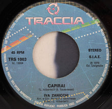 Carica l'immagine nel visualizzatore di Gallery, Iva Zanicchi : A Parte Il Fatto (7")