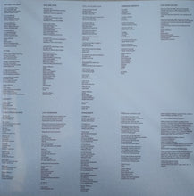 Carica l'immagine nel visualizzatore di Gallery, Bibio : BIB10 (LP, Album)