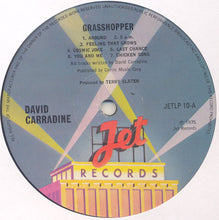 Carica l'immagine nel visualizzatore di Gallery, David Carradine : Grasshopper (LP)