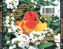 Carica l'immagine nel visualizzatore di Gallery, Babybird : There's Something Going On (CD, Album)