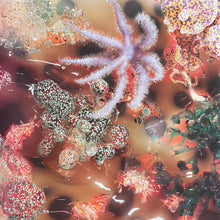 Carica l'immagine nel visualizzatore di Gallery, Melanie Martinez (2) : Portals (LP, Album, Ltd, Blo)