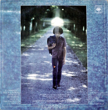 Carica l'immagine nel visualizzatore di Gallery, Fausto Leali : Io Camminerò (LP, Album)