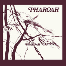 Carica l'immagine nel visualizzatore di Gallery, Pharoah Sanders : Pharoah (LP, Album, RE, RM + LP, Album + Box, Dlx, Ltd)