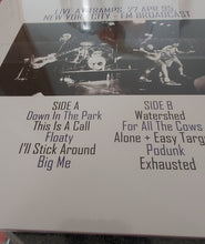 Carica l'immagine nel visualizzatore di Gallery, Foo Fighters : Down In The Park -The Nyc Broadcast (LP, Ltd, Unofficial)