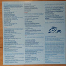 Carica l'immagine nel visualizzatore di Gallery, Lepre : Malato (LP)