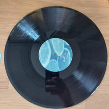 Carica l'immagine nel visualizzatore di Gallery, Lepre : Malato (LP)