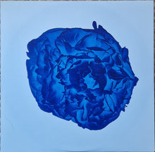 Carica l'immagine nel visualizzatore di Gallery, New Order : Substance (2xLP, Comp, RE, RM, 180)