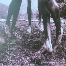 Carica l'immagine nel visualizzatore di Gallery, Pearl Jam : Vs. (2xLP, Album, RE, RM, 30t)