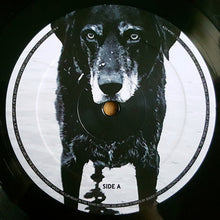 Carica l'immagine nel visualizzatore di Gallery, Seasick Steve : You Can't Teach An Old Dog New Tricks (LP, Album)