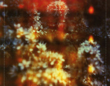 Carica l'immagine nel visualizzatore di Gallery, The Horrors : Skying (CD, Album)