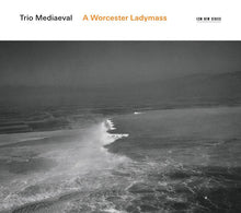 Carica l'immagine nel visualizzatore di Gallery, Trio Mediaeval* : A Worcester Ladymass (CD, Album)
