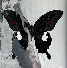 Carica l'immagine nel visualizzatore di Gallery, Death Cult : Paradise Now (LP, Cle)