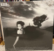 Carica l'immagine nel visualizzatore di Gallery, Duran Duran : Notorious (LP, Album, RE, RM)