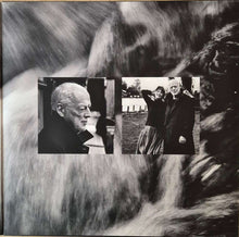 Carica l'immagine nel visualizzatore di Gallery, David Gilmour : Luck And Strange (LP, Album)