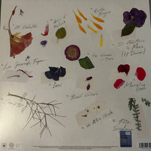 Carica l'immagine nel visualizzatore di Gallery, Nayt : Lettera Q (LP, Album, Bla)