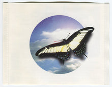 Carica l'immagine nel visualizzatore di Gallery, Various : Trip Do Brasil (CD, Comp)