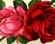 Carica l'immagine nel visualizzatore di Gallery, P!NK : I'm Not Dead (Hybrid, DualDisc, Album, PAL)