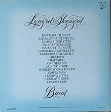 Carica l'immagine nel visualizzatore di Gallery, Lynyrd Skynyrd : Gold & Platinum (2xLP, Comp)