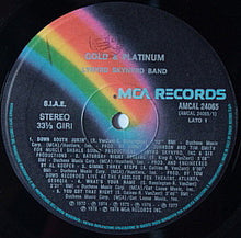 Carica l'immagine nel visualizzatore di Gallery, Lynyrd Skynyrd : Gold & Platinum (2xLP, Comp)