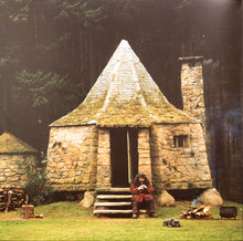 Carica l'immagine nel visualizzatore di Gallery, John Williams (4) : Harry Potter And The Philosopher's Stone (Original Motion Picture Soundtrack) (2xLP, Album)