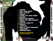 Carica l'immagine nel visualizzatore di Gallery, Aerosmith : Get A Grip (CD, Album)