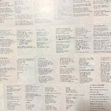 Carica l'immagine nel visualizzatore di Gallery, Franz Ferdinand : You Could Have It So Much Better (20th Anniversary Edition) (LP, Album, Ltd, RE, RM, Ora)