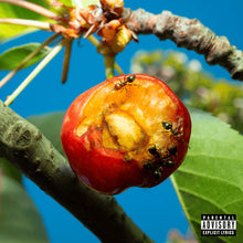 Carica l'immagine nel visualizzatore di Gallery, Mecna : Discordia, Armonia E Altri Stati D’Animo (LP, Album, Cov)