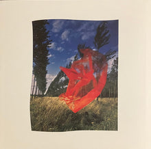 Carica l'immagine nel visualizzatore di Gallery, Pink Floyd : Wish You Were Here (Box, Dlx, RE, 50t + 4xLP, Album, Cle + 7", Single )