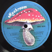 Carica l'immagine nel visualizzatore di Gallery, Iain Matthews : Siamese Friends (LP, Album)