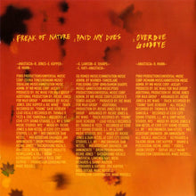 Carica l'immagine nel visualizzatore di Gallery, Anastacia : Freak Of Nature (CD, Album)