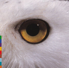 Carica l'immagine nel visualizzatore di Gallery, Mari Boine : Gula Gula (CD, Album)