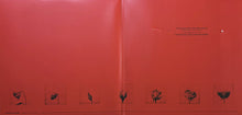 Carica l'immagine nel visualizzatore di Gallery, Raye (3) : This Music May Contain Hope. (2xLP, Album, Yel)
