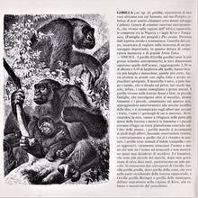 Carica l'immagine nel visualizzatore di Gallery, Gino Paoli : King Kong (CD, Album)