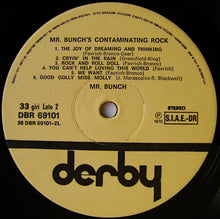 Carica l'immagine nel visualizzatore di Gallery, Mr. Bunch : Mr. Bunch's Contaminating Rock (LP)
