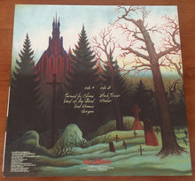 Carica l'immagine nel visualizzatore di Gallery, Northwinds : Winter (LP, Bla)
