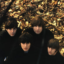 Carica l'immagine nel visualizzatore di Gallery, The Beatles : Beatles For Sale (LP, Album, RE, RM, 180)
